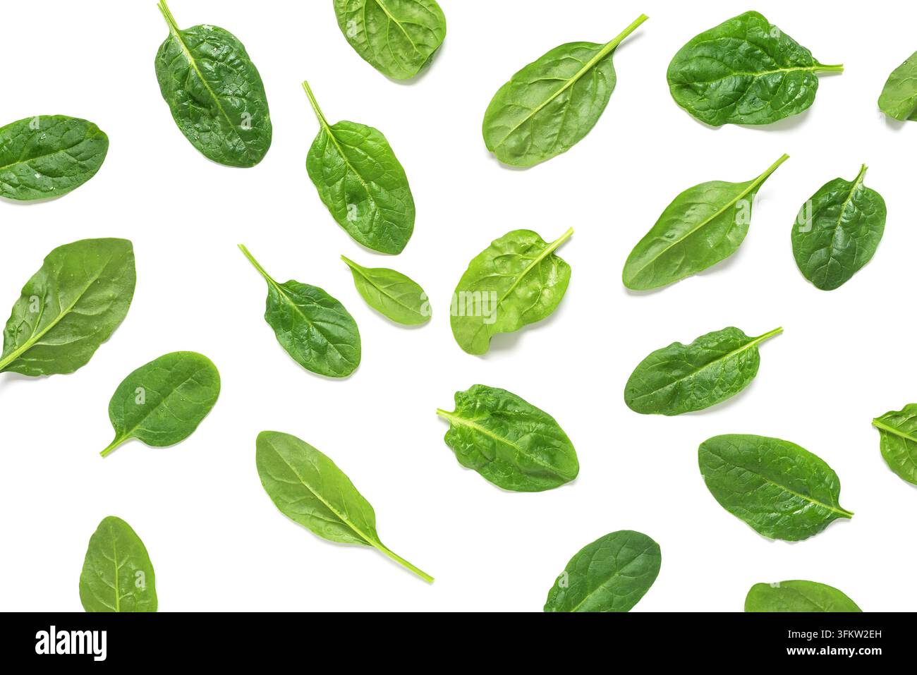 Pattern of fresh spinach leaves with drops on a white background. Top ...