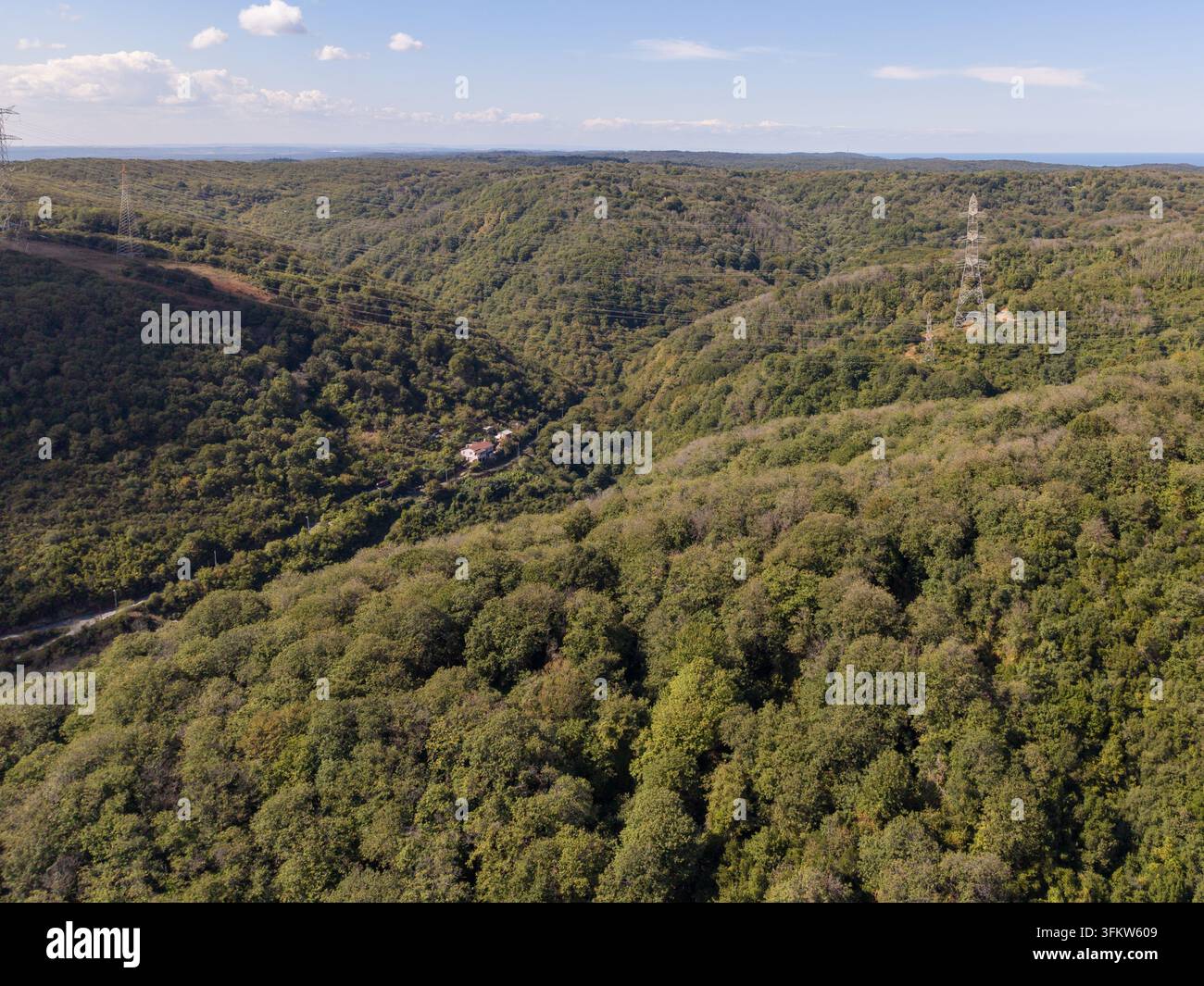Aerial view of a lush green valley covered in dense forest with a small ...