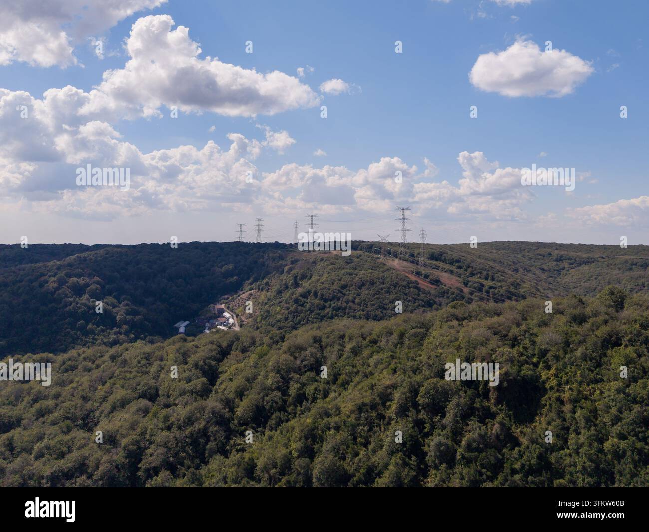 Aerial view of a dense green forest landscape with power transmission ...