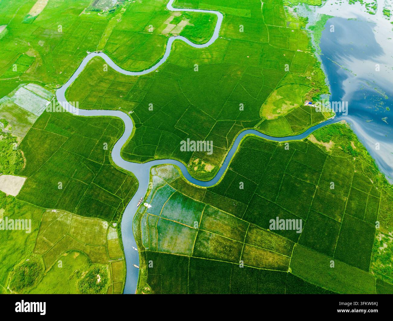 Aerial view of a winding river flowing through lush green agricultural ...