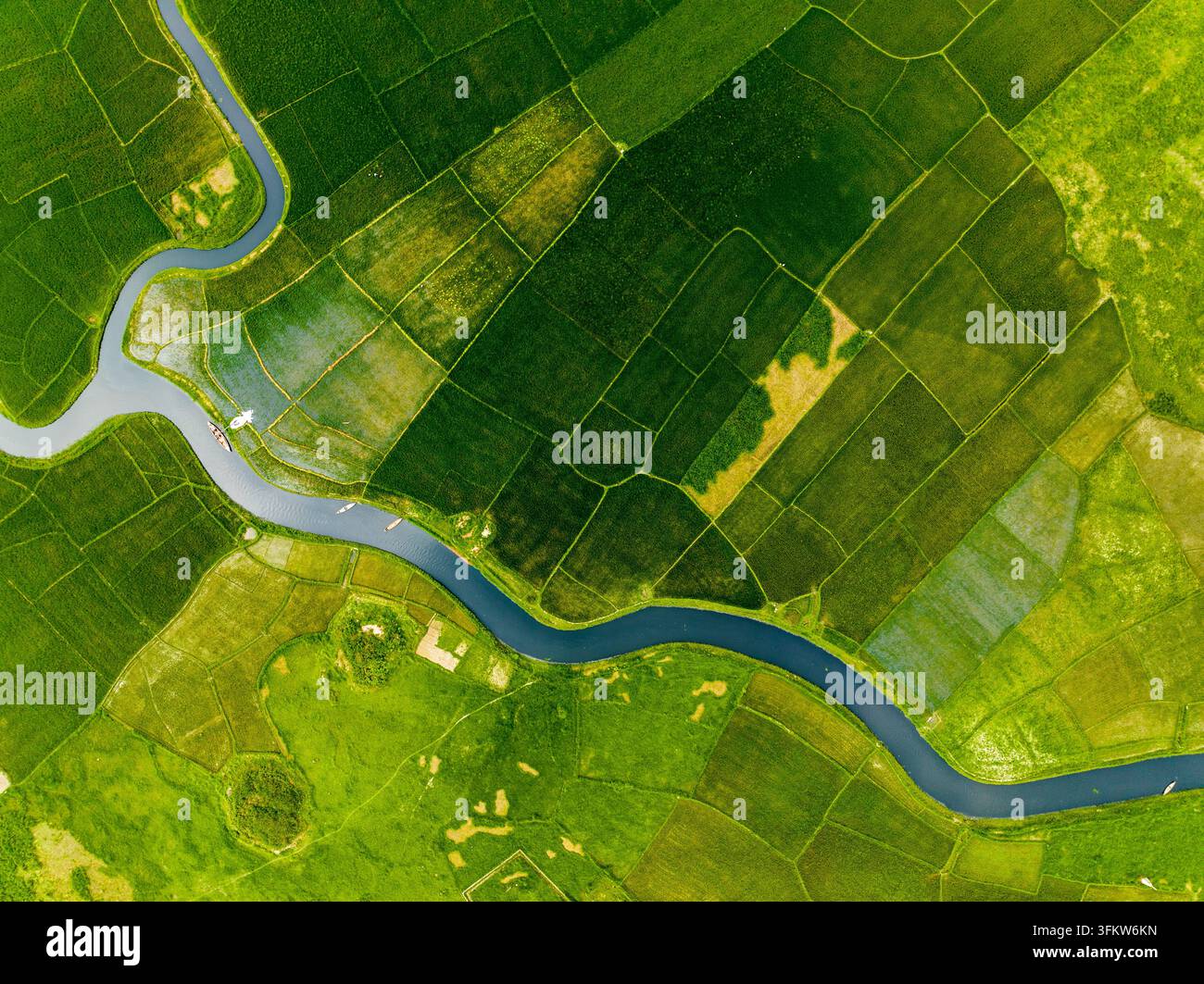 Aerial view of a winding river flowing through vibrant green ...