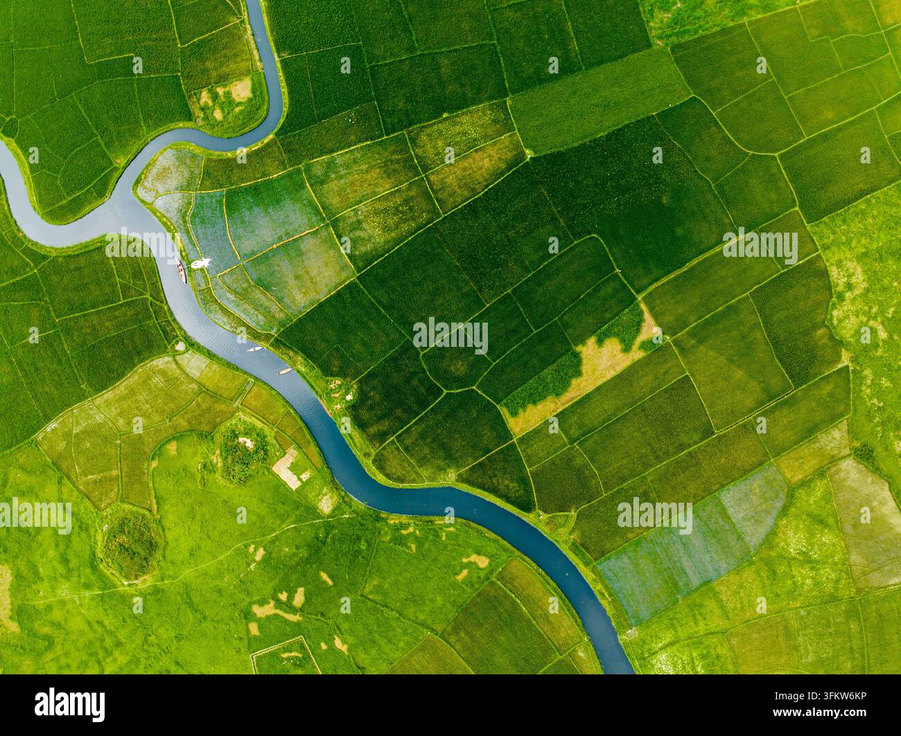 Aerial view of a winding river flowing through vibrant green ...