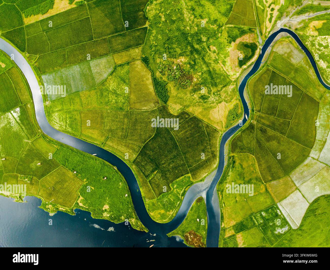 Aerial view of lush green agricultural fields and winding river ...