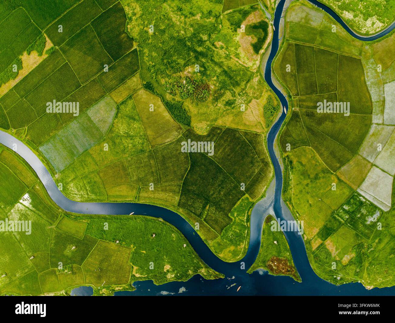 Aerial view of lush green agricultural fields and winding river ...