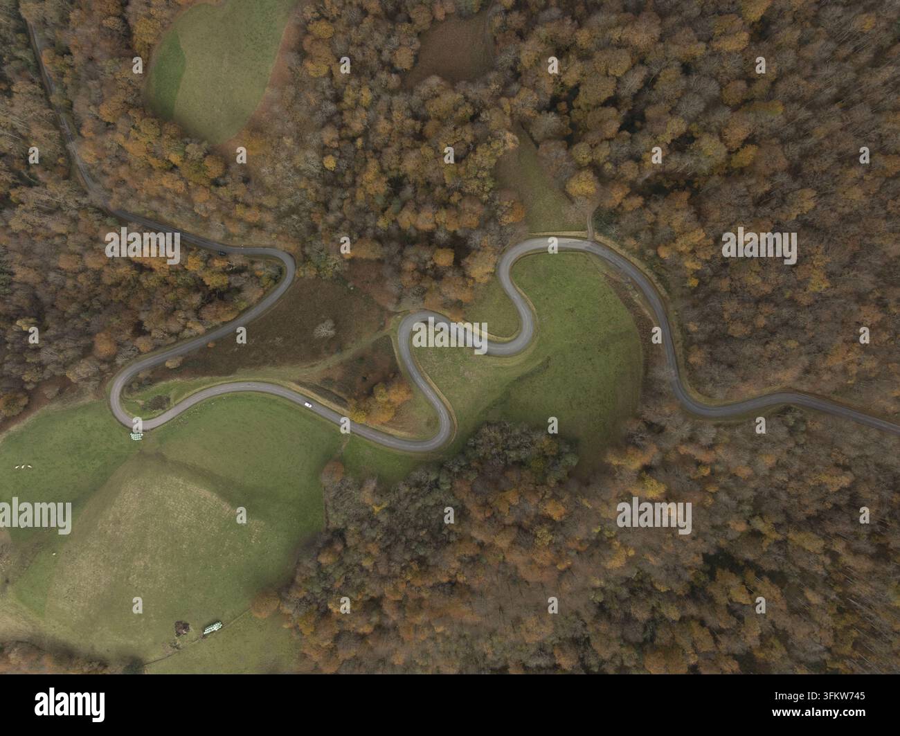 Aerial view of a winding road through the autumn forest and green ...