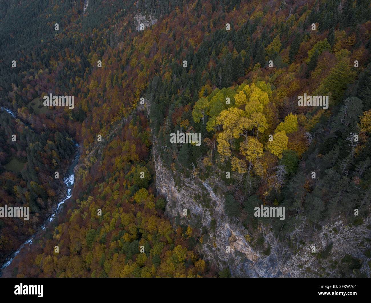 Aerial view of the Pyrenees mountains during autumn with vibrant yellow ...