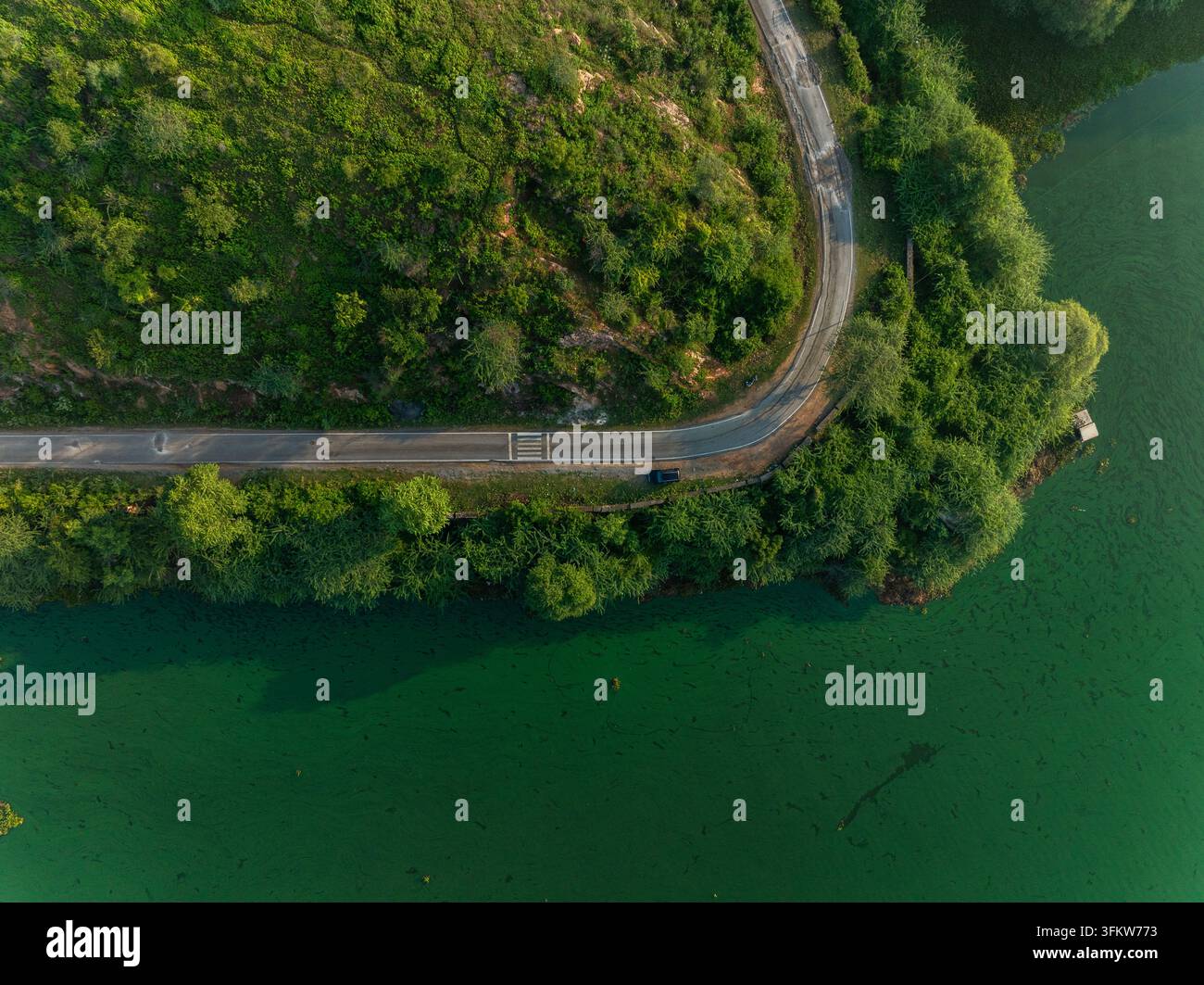 Aerial view of a winding road along the edge of a green lake surrounded ...