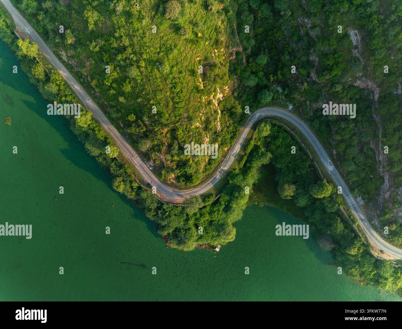 Aerial view of a winding road following the edge of a lush green lake ...
