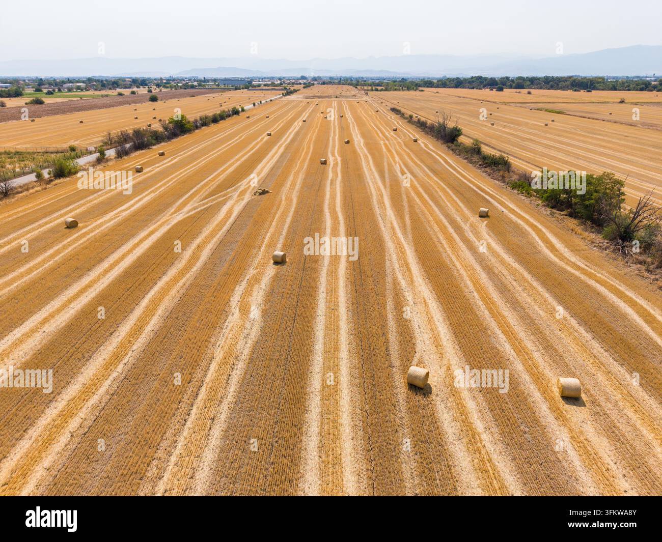 Aerial view of harvested wheat field with scattered hay bales across ...