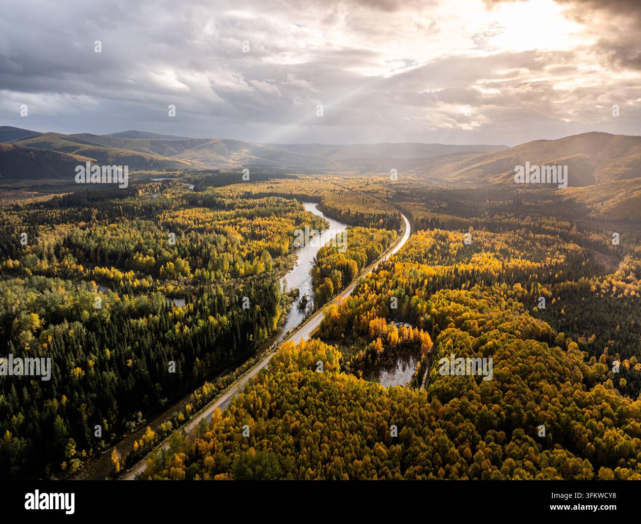 Aerial view of the Chena River winding through a dense forest with ...