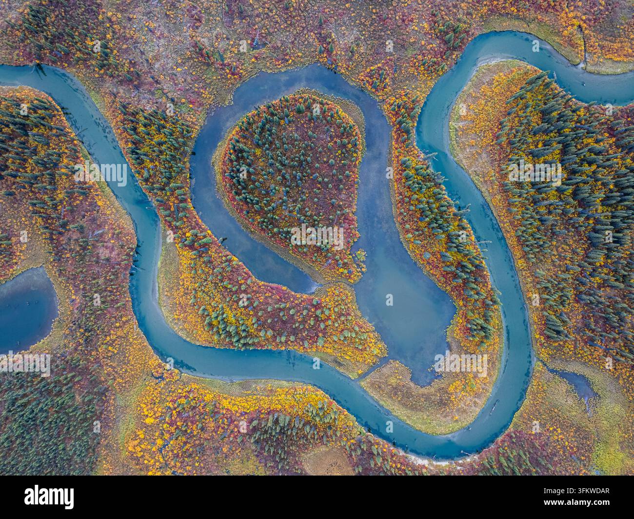 Aerial view of the winding river flowing through the autumn landscape ...