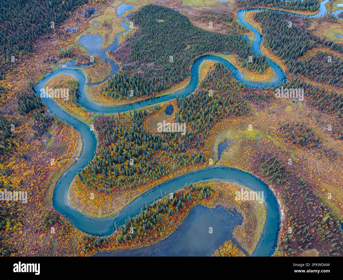 Aerial view of a winding river flowing through a dense boreal forest ...