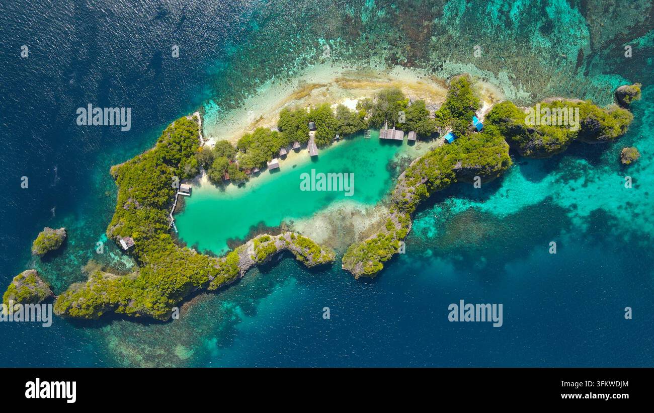 Aerial view of a tropical island with a turquoise lagoon, lush green ...