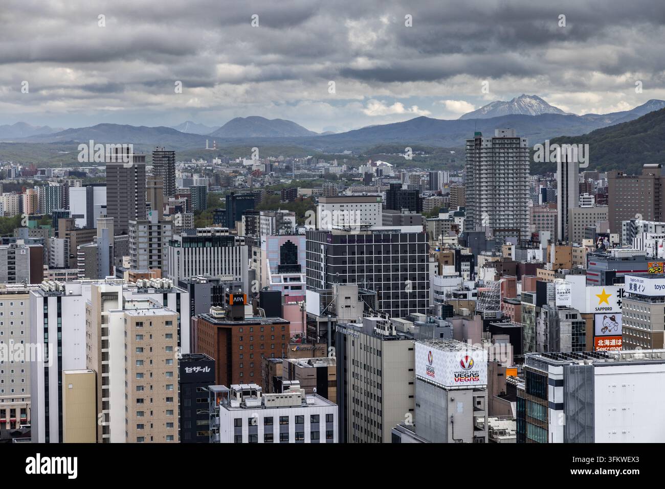 Aerial view of the dense urban skyline of Sapporo featuring modern ...