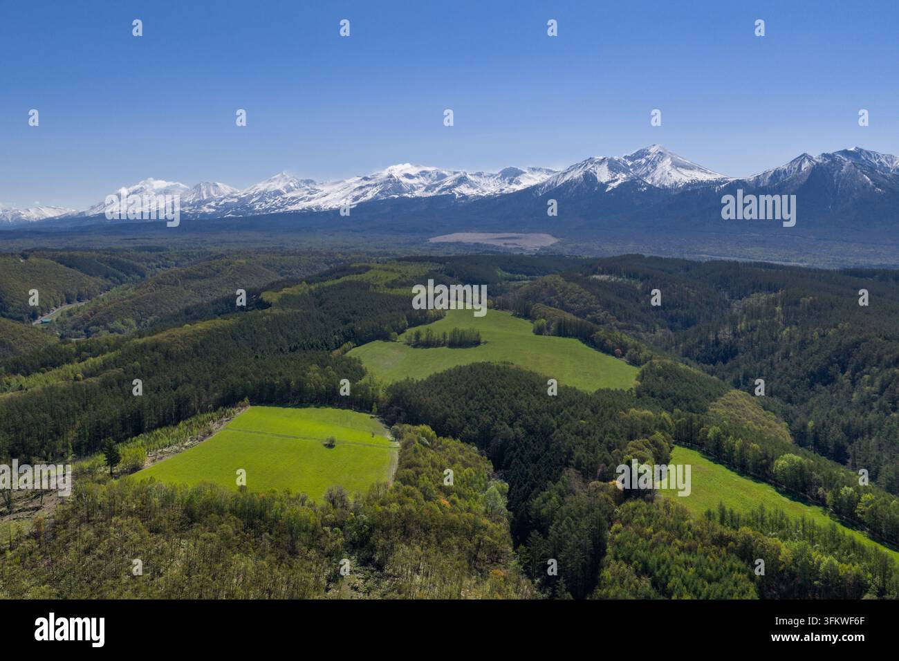 Aerial view of lush green fields and dense forests set against the ...