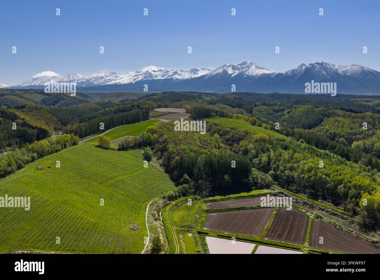 Aerial view of rolling green agricultural fields and lush forests with ...