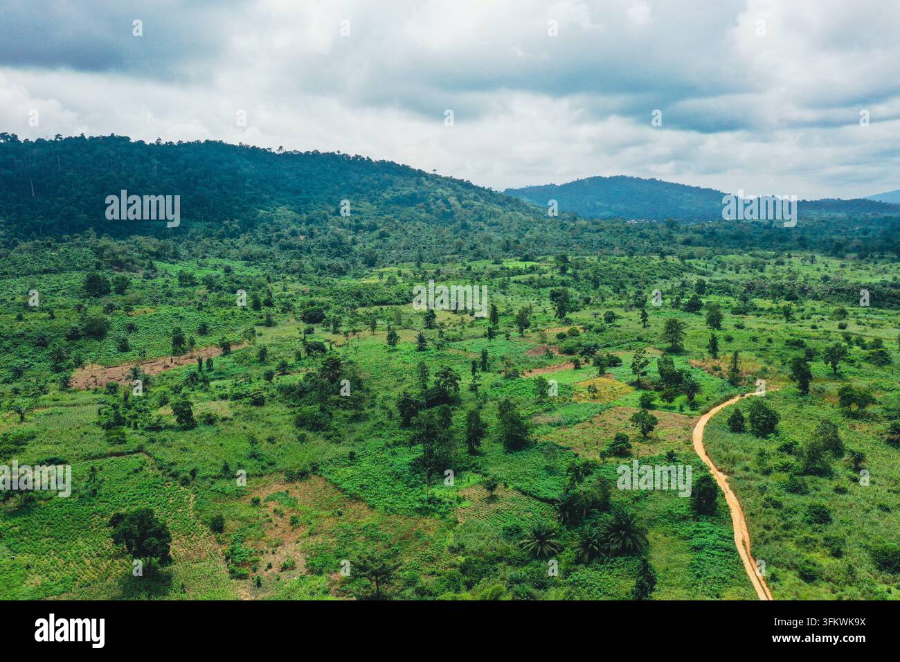 Aerial view of the lush green degraded forest landscape with scattered ...
