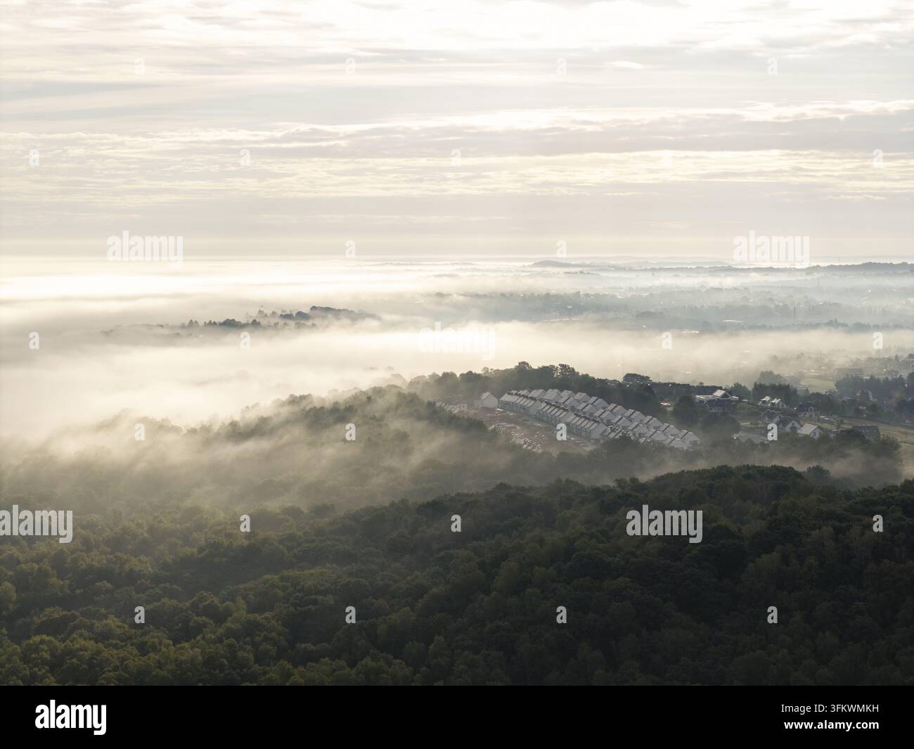 Aerial view of a residential area nestled within a dense forest and ...