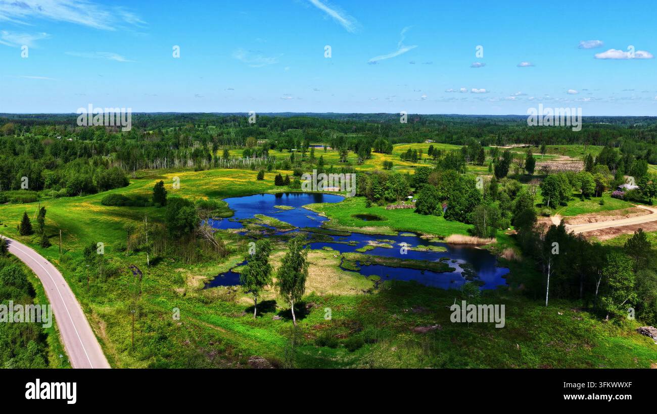 Aerial view of a serene pond surrounded by lush green meadows, dense ...