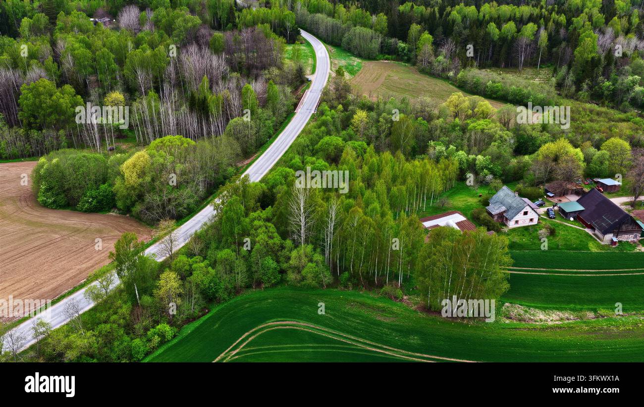 Aerial view of a winding road cutting through a lush green forest and ...