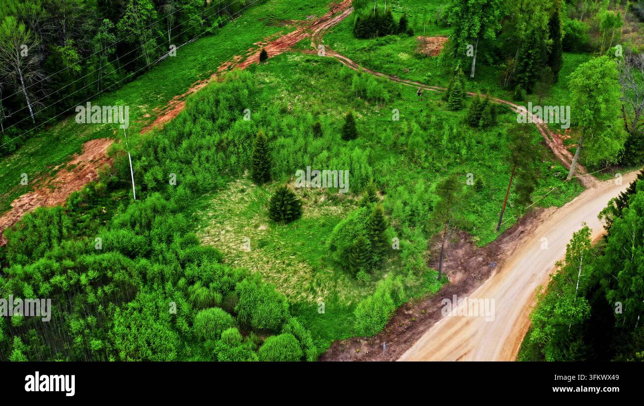 Aerial view of a winding dirt road cutting through a lush green forest ...