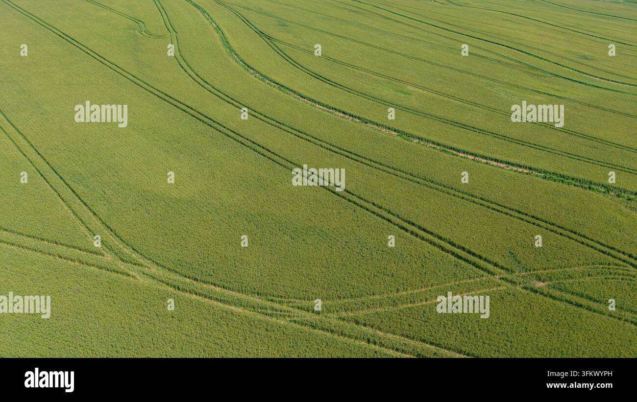 Aerial view of lush green agricultural fields with distinct tractor ...