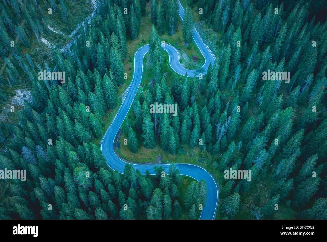 Aerial view of a winding mountain road cutting through a dense ...