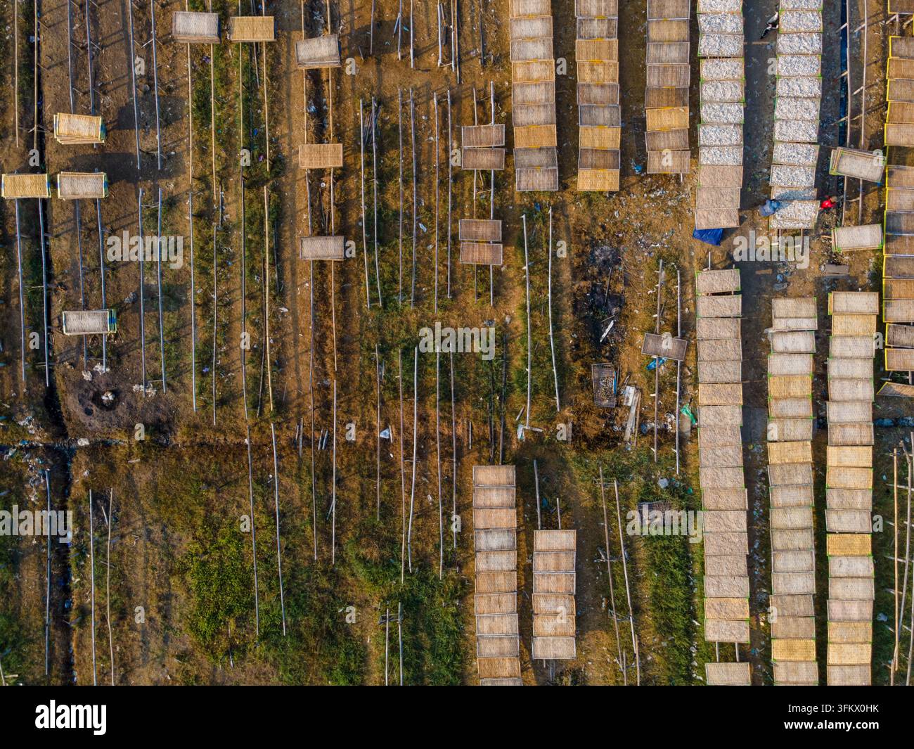 Aerial view of workers drying jellyfish and fish on wooden racks in an ...