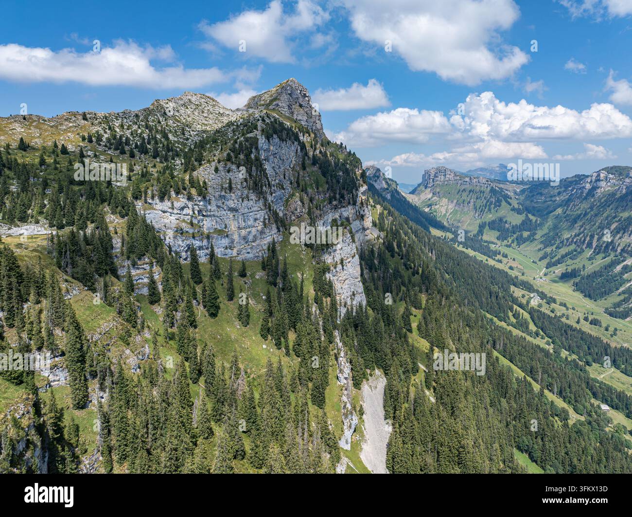 Aerial view of the rugged cliffs and pine forests of the Niederhorn ...