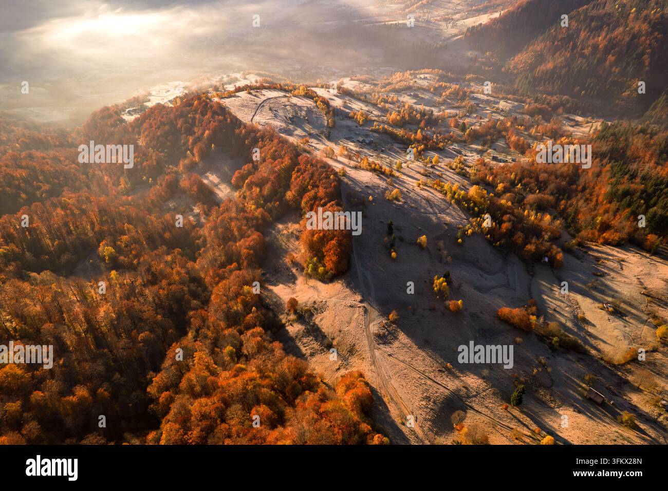 Aerial view of the autumn landscape with vibrant orange and yellow ...