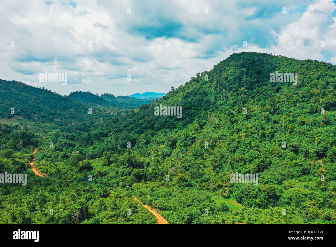 Aerial view of the lush green hills and dense tropical forest landscape ...