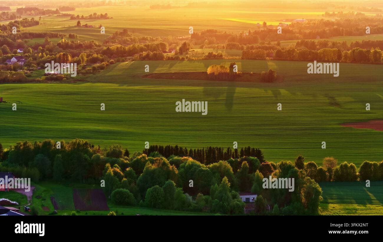 Aerial view of lush green fields and dense forests illuminated by the ...