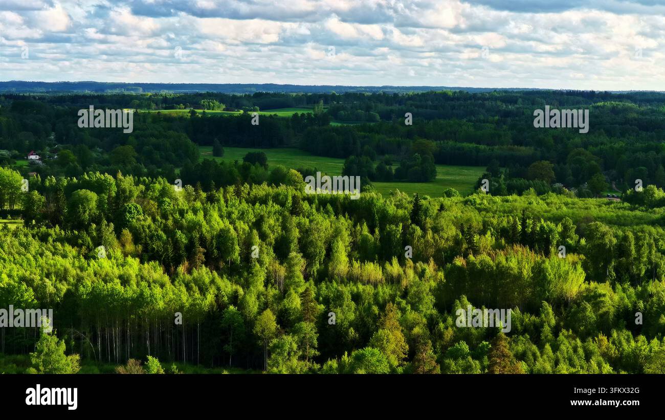 Aerial view of a lush green forest landscape with dense trees and ...