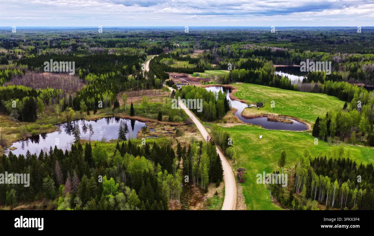 Aerial view of a winding dirt road cutting through lush green fields ...