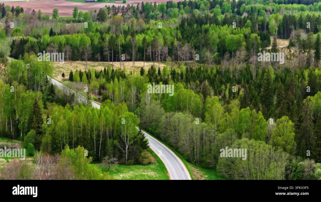 Aerial view of a winding asphalt road cutting through a lush green ...