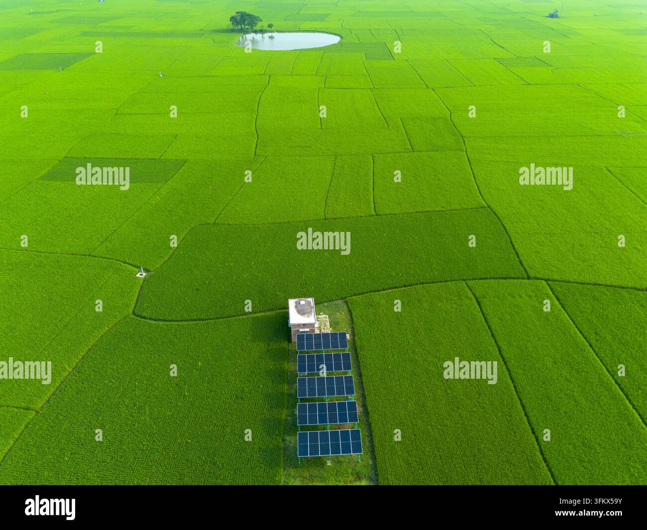 Aerial view of a small solar panel array installed in the middle of ...