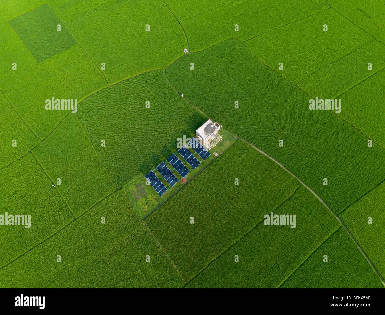 Small Rice Pack Aerial view of a small building with solar panels surrounded by lush ...