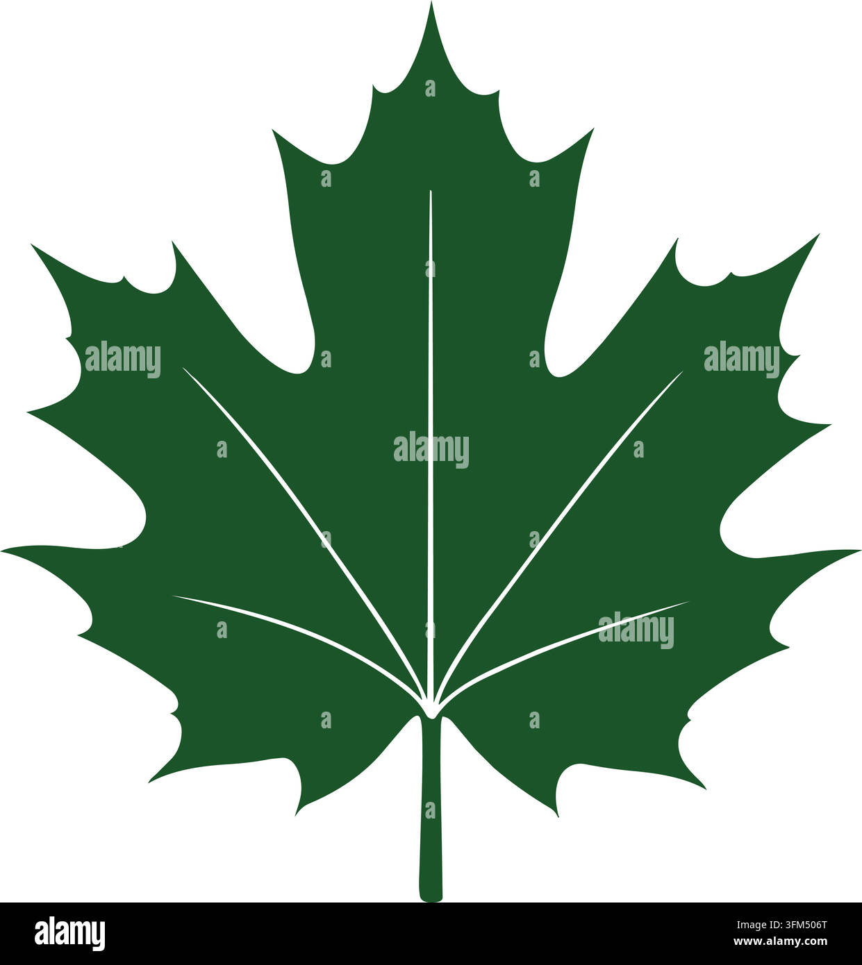 Flat dark green maple leaf illustration with a classic pointed shape and subtle central vein lines Stock Vector