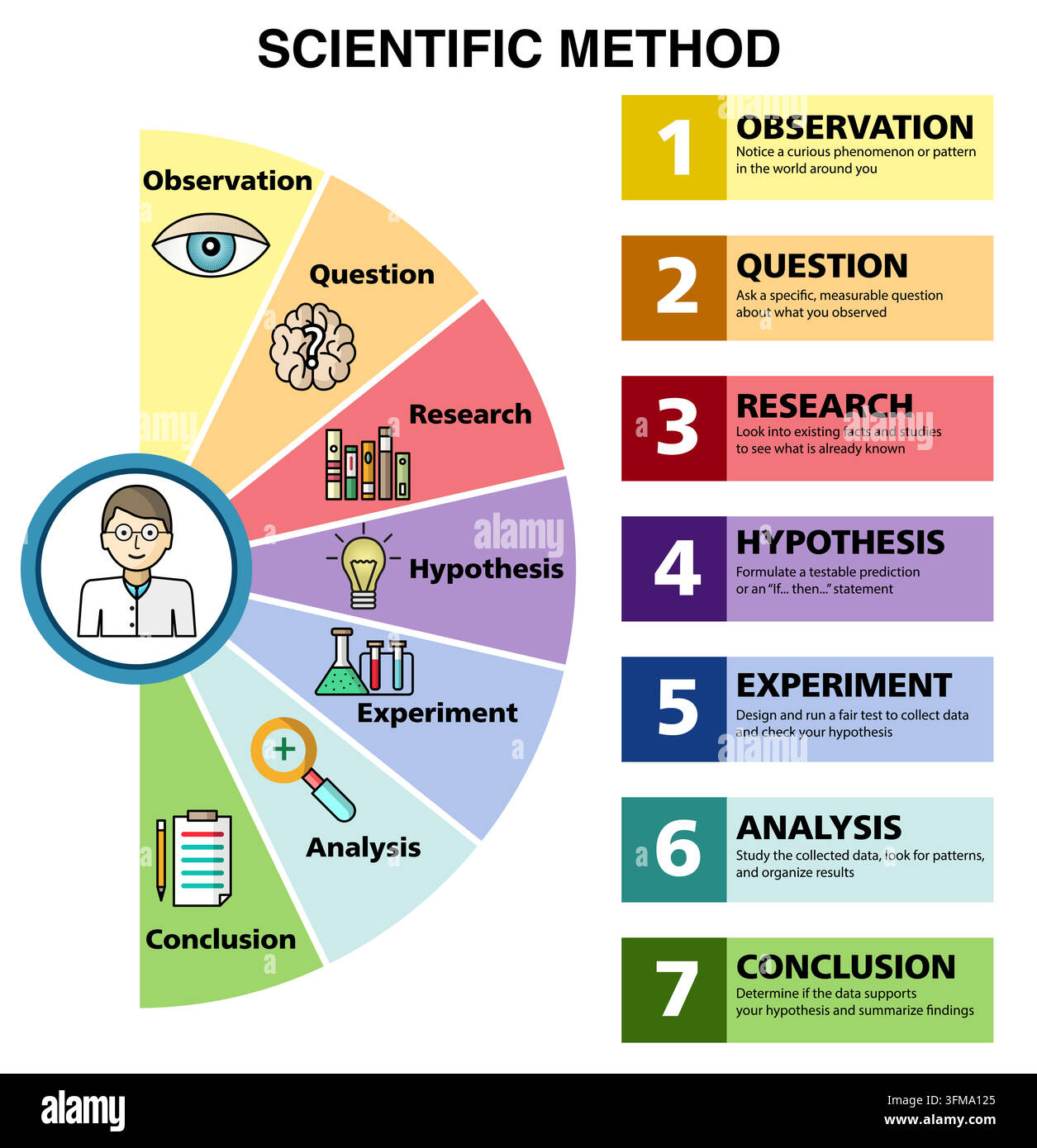 Scientific method semi circle infographic with text descriptions and scientist avatar. Educational science chart showing 7 steps from observation to c Stock Vector
