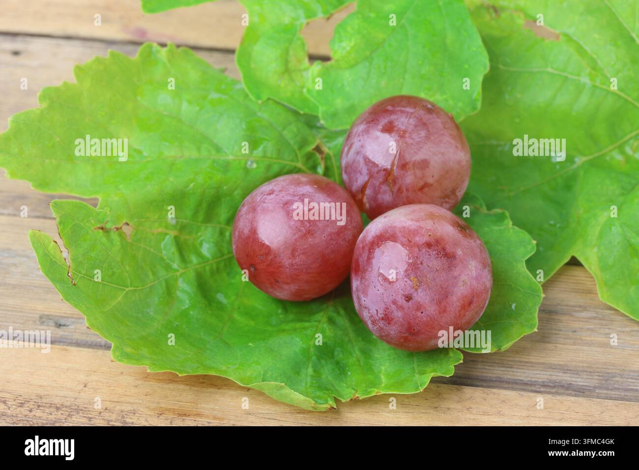 Fresh Red Globe Grapes Bunch with Leaves on Wooden Table Surface Stock Photo