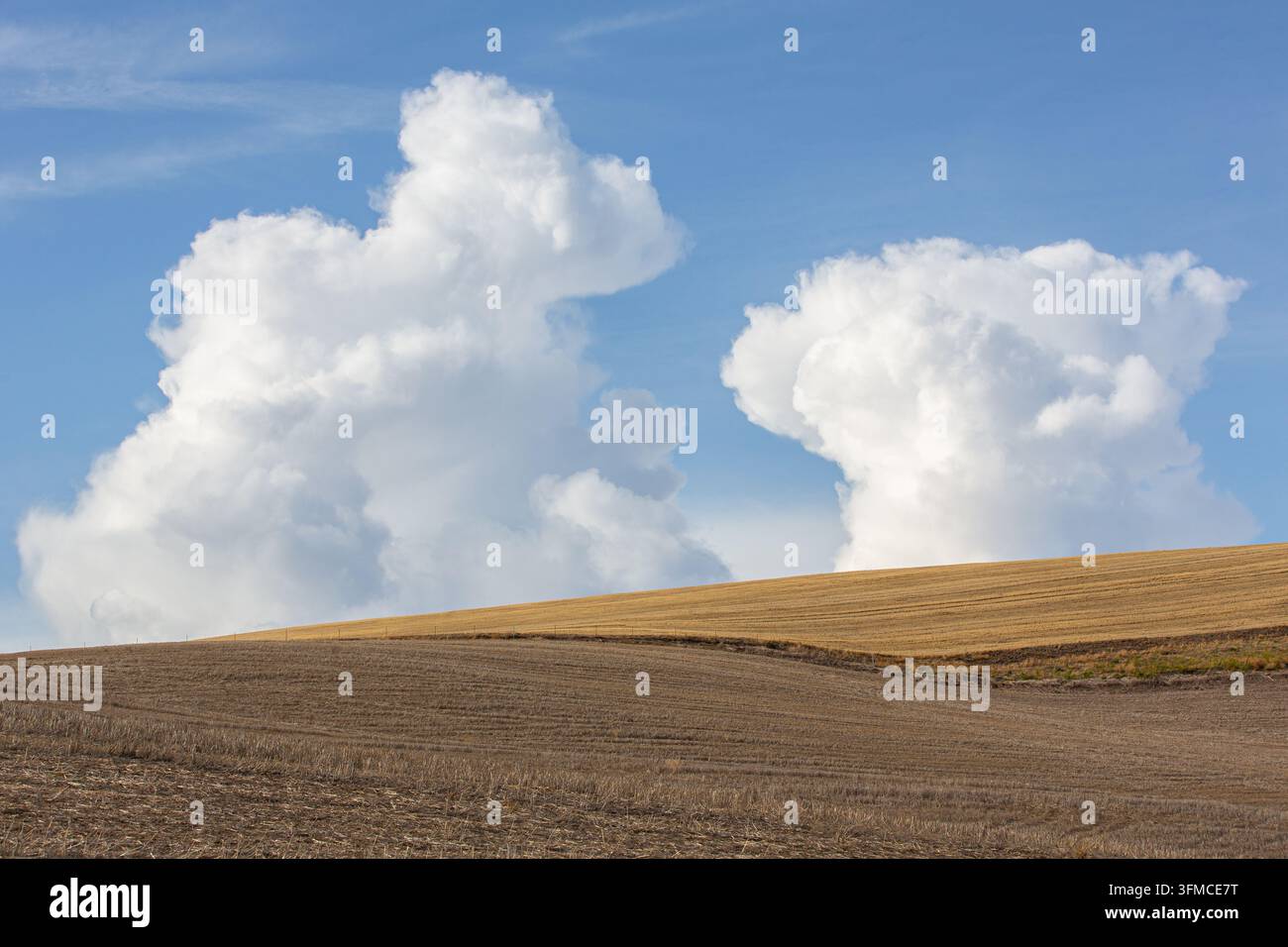 Dramatic cumulus clouds tower over rolling harvested farm fields Stock Photo