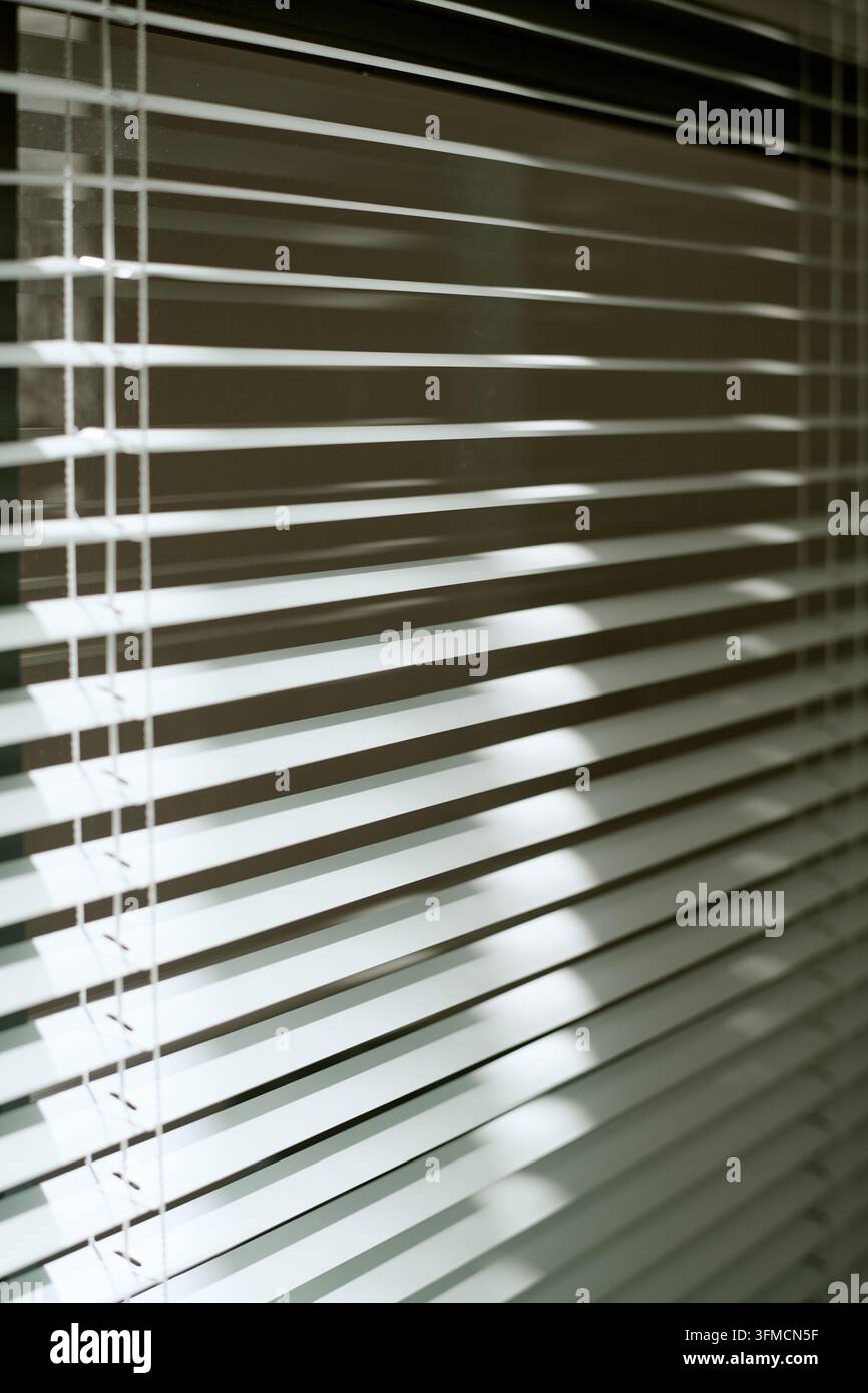 Sunlight Filtering through Modern Office Window Blinds Stock Photo