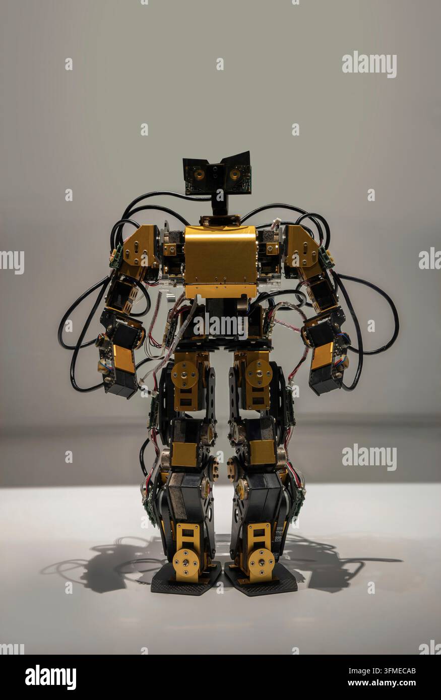 Japanese golden metal humanoid robot made of microprocessors and cables with advanced recognition functionalities and integrated system for autonomous Stock Photo