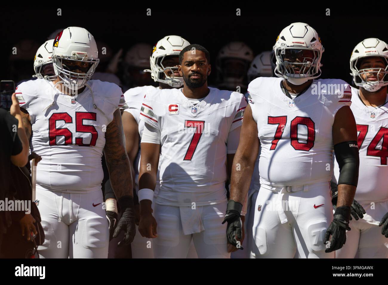 Elijah wilkinson cardinals hi-res stock photography and images - Alamy