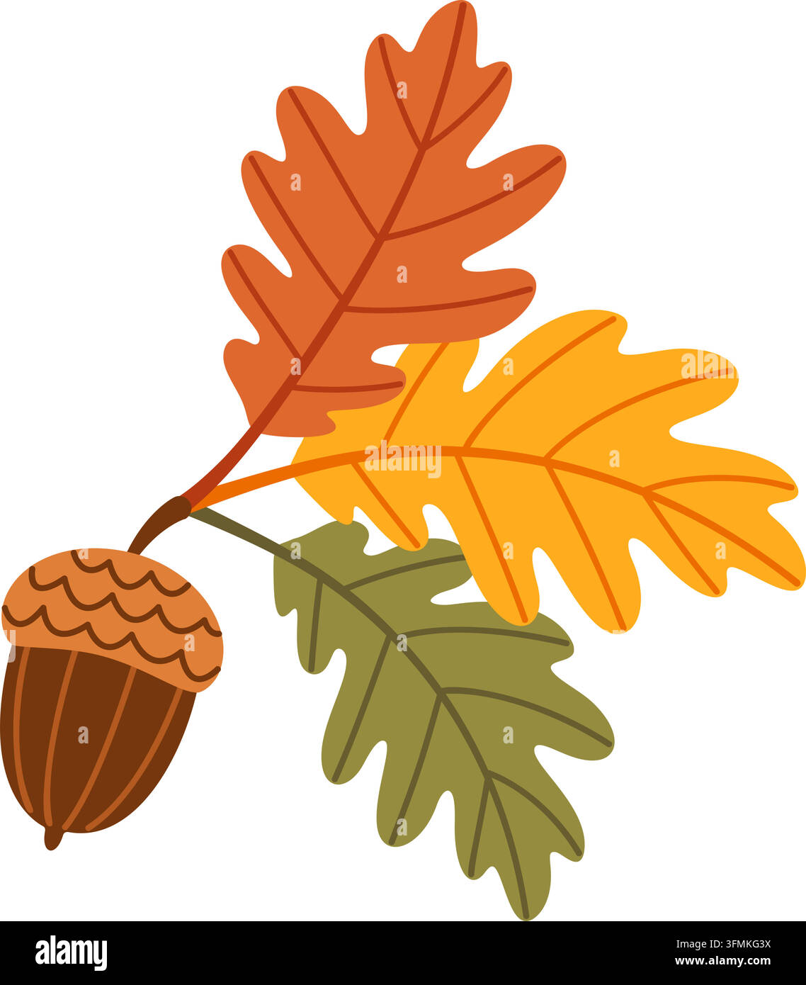Splendid hand drawn autumn oak branch isolated vector element. Elegant ...
