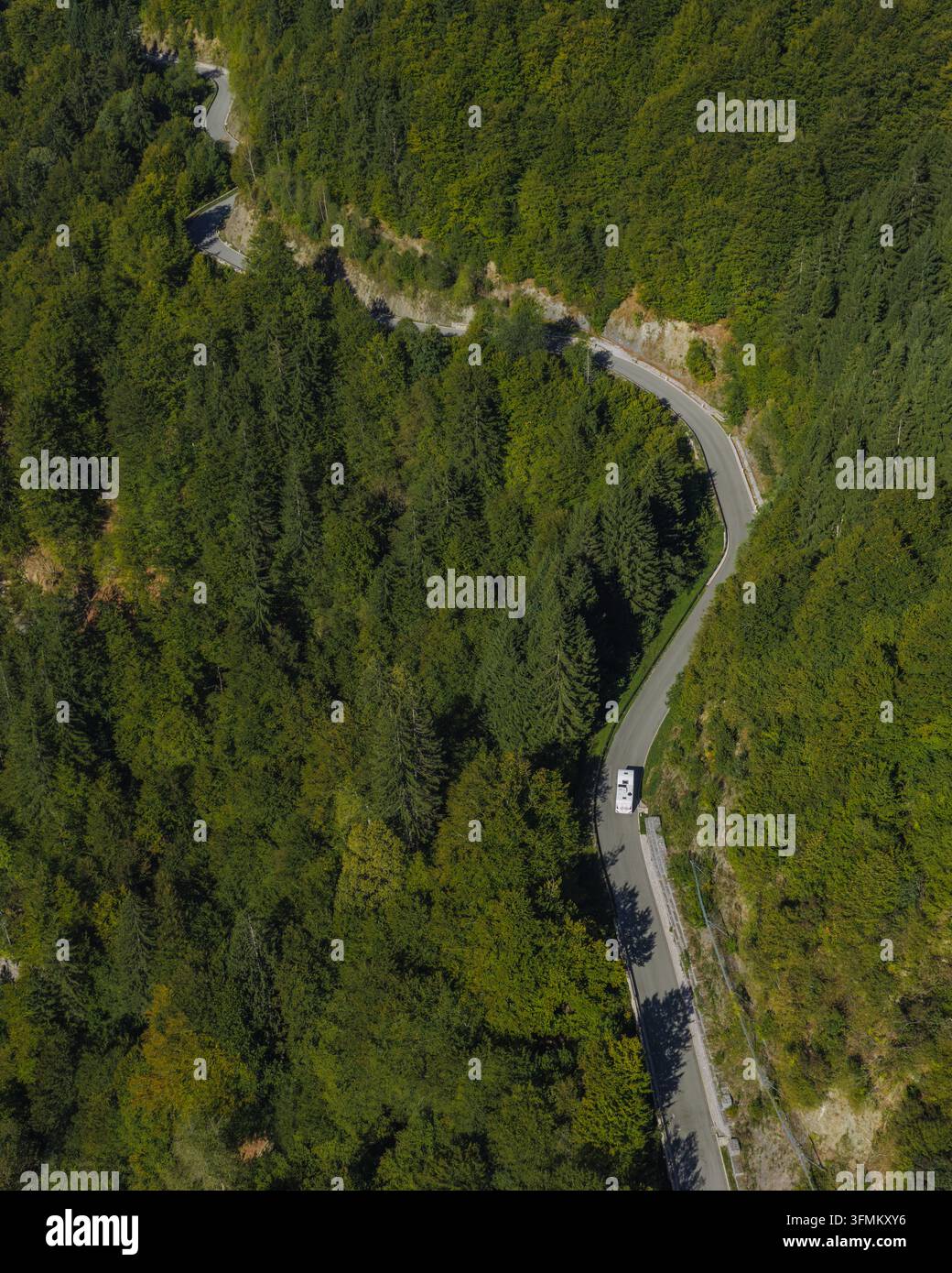Aerial view of a winding road cutting through a dense green forest with ...