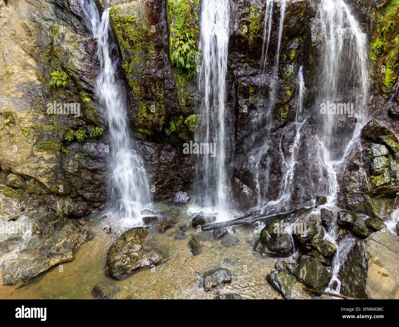Streams Of Water Pour Down A Moss And Fern covered Rock Face Into A streams-of-water-pour-down-a-moss-and-fern-covered-rock-face-into-a