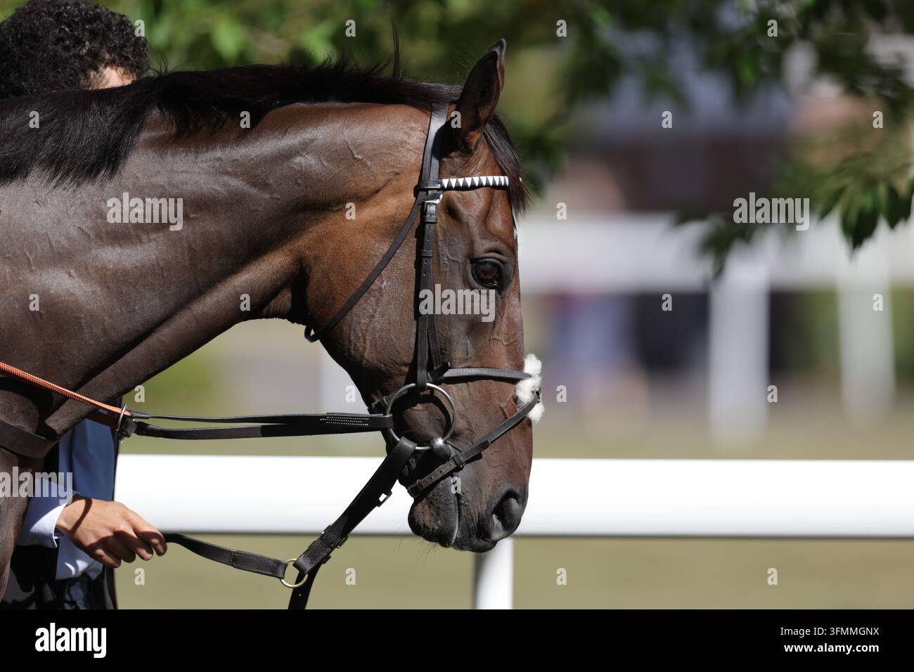 09 september 2026 hi-res stock photography and images - Alamy