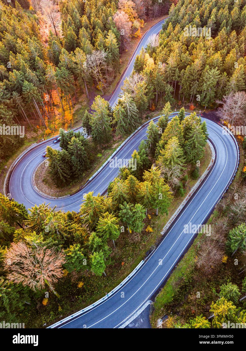 Aerial view of a winding serpentine road cutting through a dense forest ...