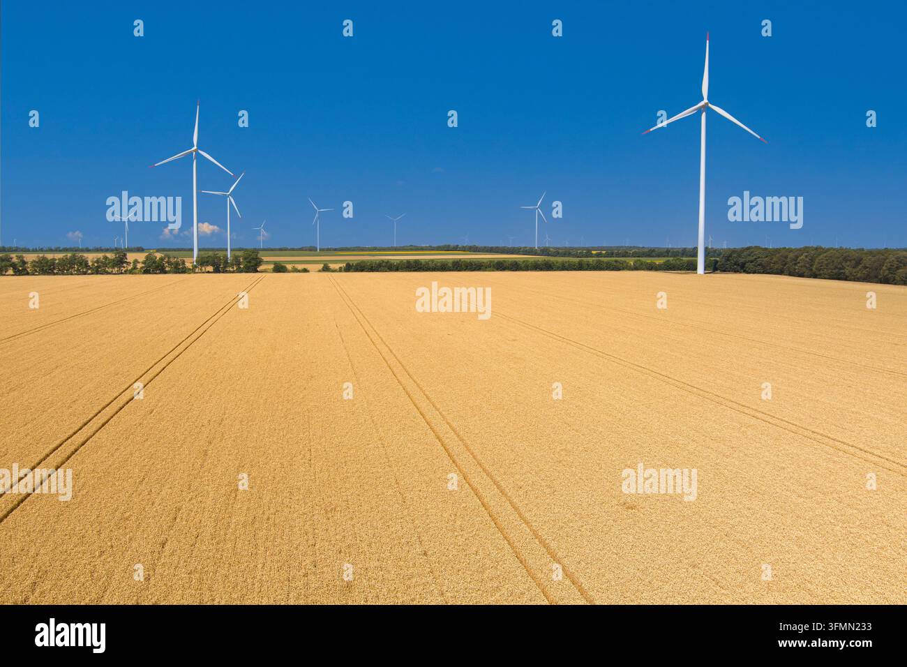 Aerial view of a golden wheat field with wind turbines under a clear ...